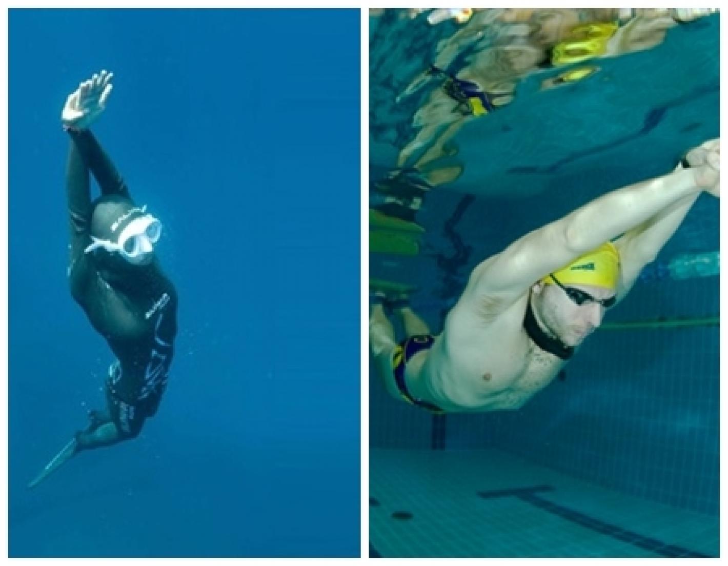 images/documenti/attivita_subacquee/ischia2015/medium/Collage Foto.jpg